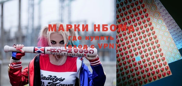 индика Протвино