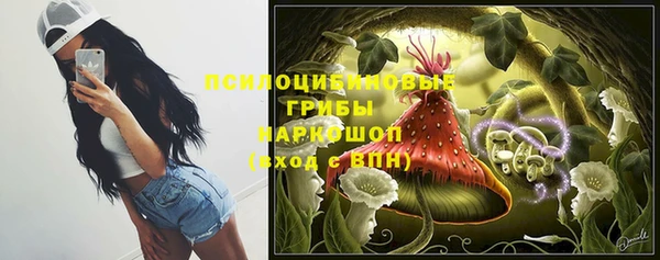 индика Протвино
