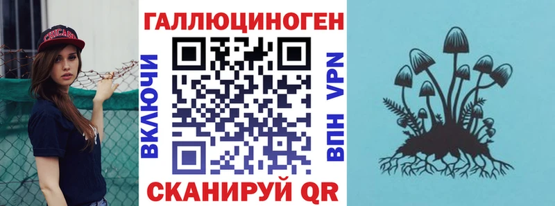 MEGA как зайти  Дзержинский  Псилоцибиновые грибы мицелий 